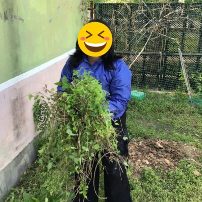 5月3日に「草抜き大会」を実施しました。